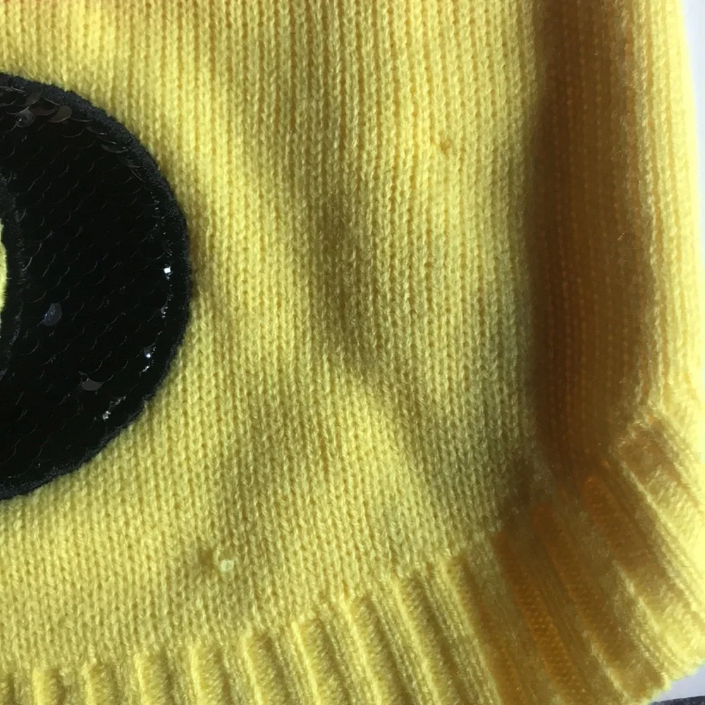 NWOT Pet Halloween Sweater